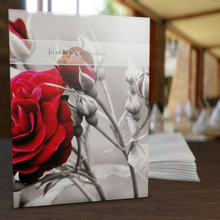 Kondolenzbuch Rose