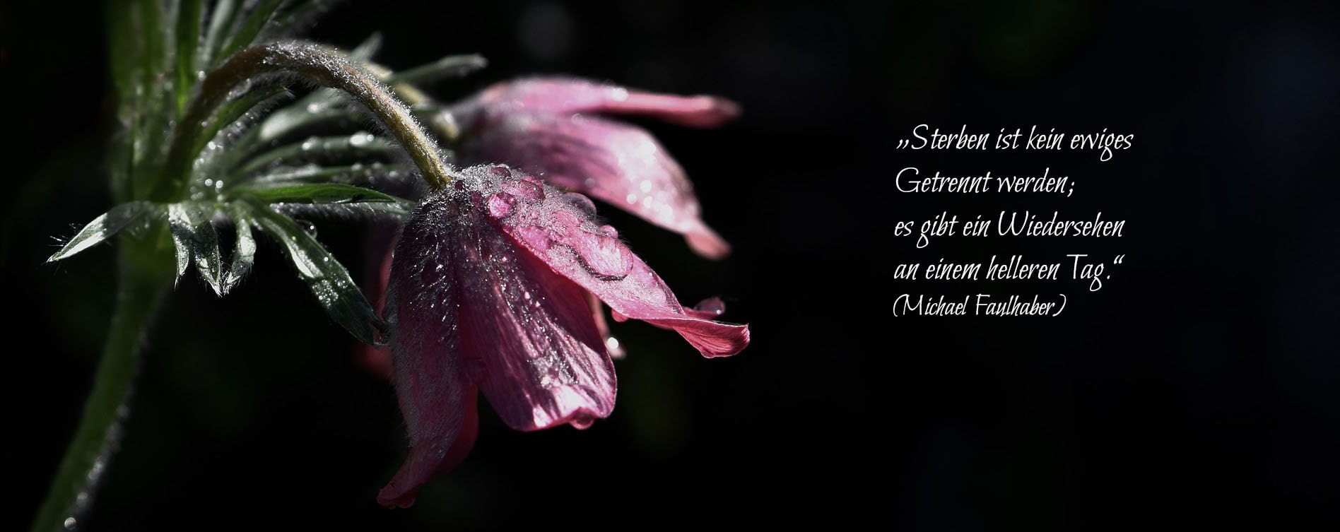 Spruchbild Spruchbild