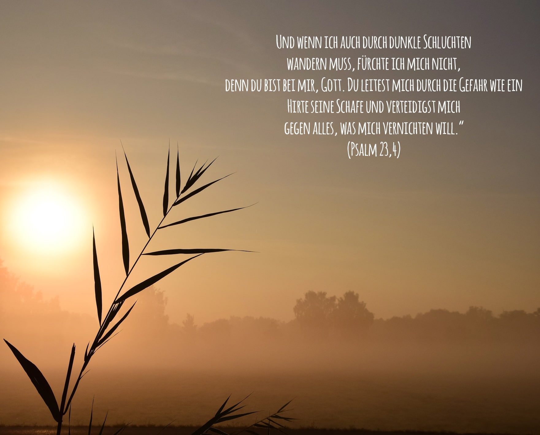 Sunrise Trauerspruch