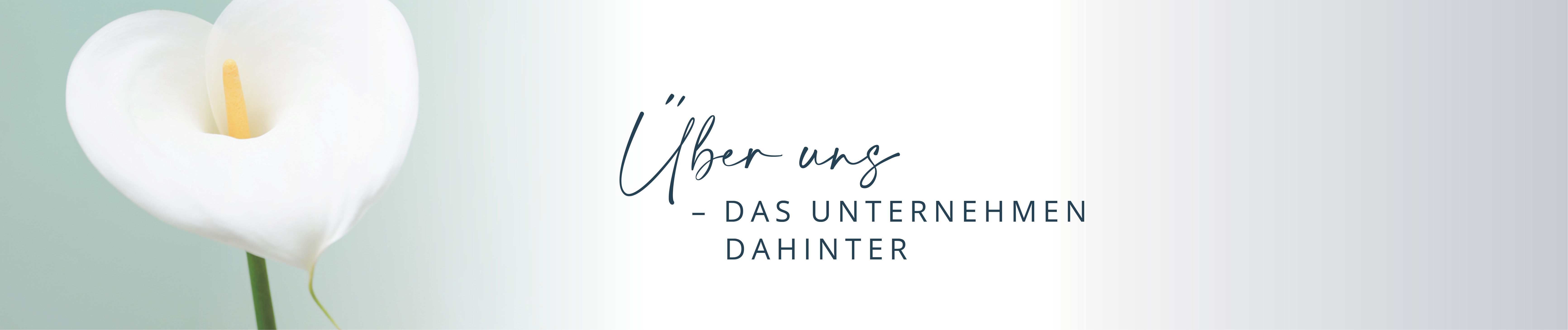 Über uns Banner Über uns Banner